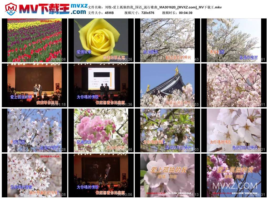 刘牧-爱上孤独的我_国语_流行歌曲_MA301620